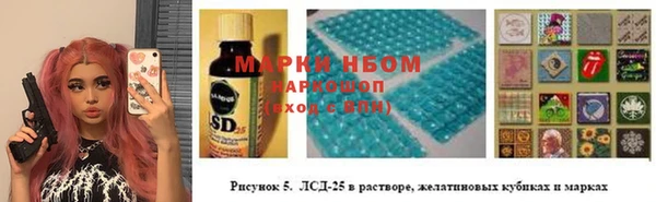 mdma Бородино